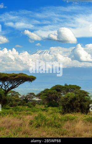 Schöner Blick auf den majestätischen Kilimandscharo vom Amboseli National Park, Kenia. Stockfoto