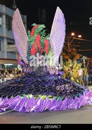 Port OF SPAIN, TRINIDAD - 20. FEBRUAR: Ahasiah Alexis porträtiert Den Stolz von Trinbago während der Junior-Queen, King und Einzelpersonen der Karnevals-Finals in Ad Stockfoto