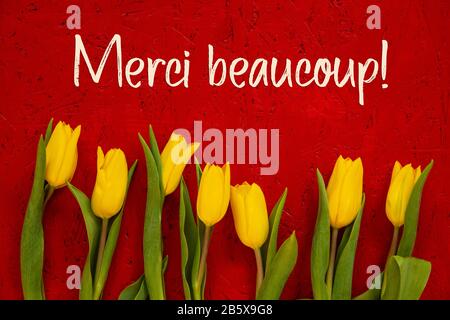 Gelbe Tulpenblumen, Roter Hintergrund, Text Merci Bedeutet Vielen Dank Stockfoto