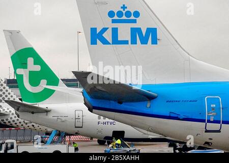 Amsterdam, Niederlande. März 2020. Amsterdam, 08-03-2020 Amsterdam Schiphol Airport. Transavia und KLM Credit: Pro Shots/Alamy Live News Stockfoto