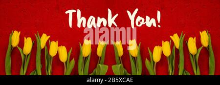 Baner Aus Gelben Tulpenblumen, Roter Hintergrund, Text Vielen Dank Stockfoto