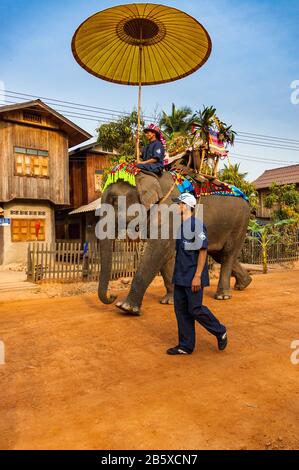 Elephant Parade entlang der Hauptstraße in Viengkeo Dorf auf dem Elephant Festival, Hongsa. Stockfoto