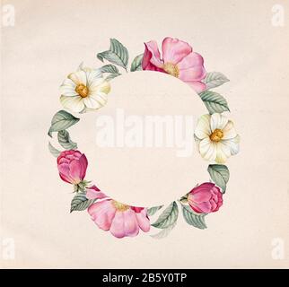 Wasserfarben-Blumenbanner mit Kamelien und Rosenhüfte. Runder Rahmen auf Fertigpapier. Platz für Text. Realistische Blätter und Bräunungsblumen. Jahrgang Stockfoto
