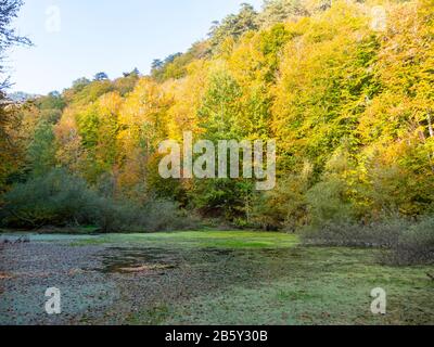 Herbstlandschaft im Yedigoller oder Sieben Seen Nationalpark Bolu Türkei. Reisen Stockfoto