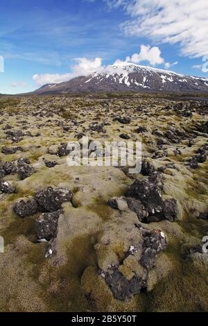 Weiße Gipfel der Snæfellsjökull Vulkan im Westen von Island - 1446 m Höhe. Stockfoto