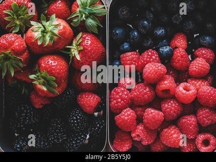 Frische reife, saisonale Beeren in Metall-Lunchboxen, Nahaufnahme, Draufsicht Stockfoto