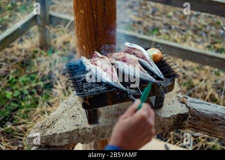 Fische (Makrelen) auf dem Grill im Garten. Kleine Grillparty im Garten. Stockfoto