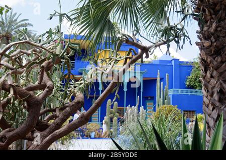 Jardin Majorelle in Marrakesch 2013 Stockfoto