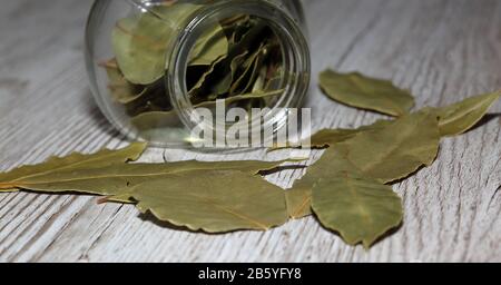 Lorbeer/Lorbeer lässt sich in einen kleinen Glasbecher herum auf Holztisch in weichem Fokus Stockfoto