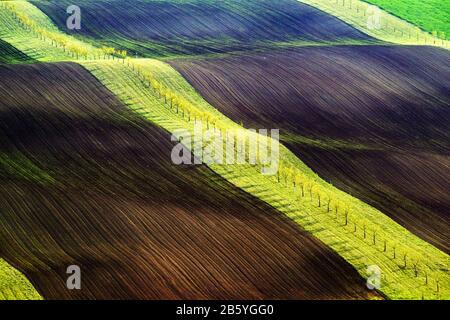 Grüne und braune Wellen der Agrarfelder Südmährens, Tschechien. Ländliche Quelllandschaft mit farbigen Streifenhügeln. Kann wie Naturhintergrund oder Textur verwendet werden Stockfoto