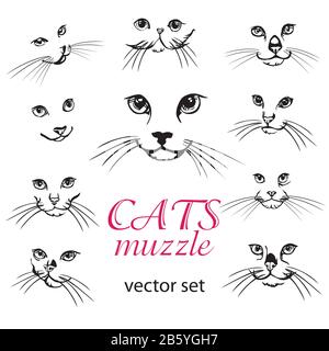 Abstrakte Vektordarstellung von Katzen Schnauzensatz. Set mit Cats Logo Designvorlage. Etikett mit abstrakten Tiersymbole. Flacher Illustrationshintergrund mit Kat Stock Vektor