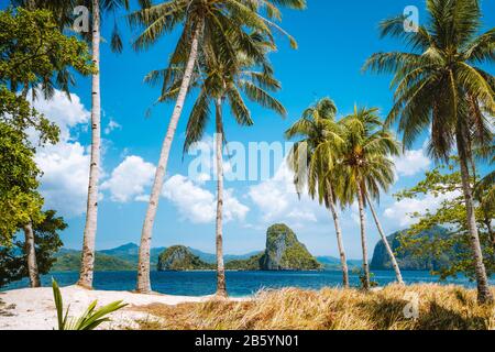 Feriensaison. Palawan berühmteste Touristenattraktionen. Palmen und einsames Insel-Hopping-Ausflugsboot am Ipil Strand des tropischen Pinagbuyutan, P Stockfoto