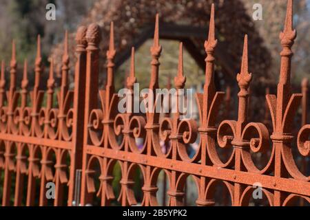 Rostiger Eisentor im Vintage-Look, alter rostiger Eisenzaun auf Gartenhintergrund Stockfoto