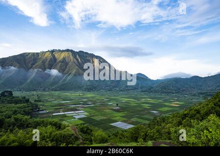 Blick von oben, atemberaubender Luftblick auf einige landwirtschaftliche Felder in Sembalun. Lombok, West Nusa Tenggara, Indonesien. Stockfoto