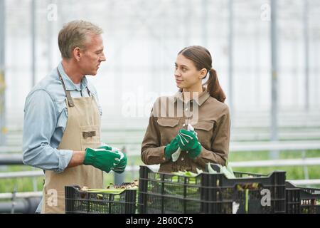 Taille hoch Porträt von zwei Arbeitern Mann und junge Frau Gespräch miteinander auf Blumenplantage im Gewächshaus, Kopierraum Stockfoto