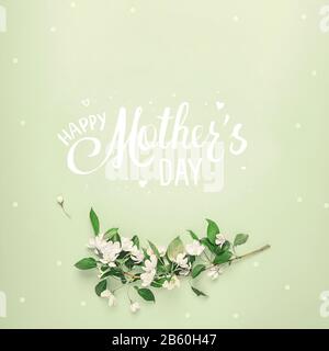 Schriftzug "Happy Mother's Day" im Rahmen von Blumen eines apfelbaums auf pastellgrünem Hintergrund. Minimales Konzept Stockfoto