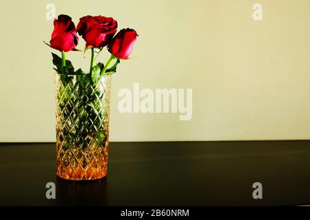 Drei rote Rosen in Glasvase auf weißem Hintergrund Stockfoto