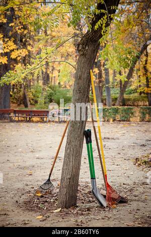 Gartenwerkzeuge mit Spaten, Gabel und Rechen in einem Park im Herbst Stockfoto