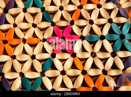 Mehrfarbiges Blumenmuster mit von Sonnenlicht beleuchteten Holzblüten Stockfoto