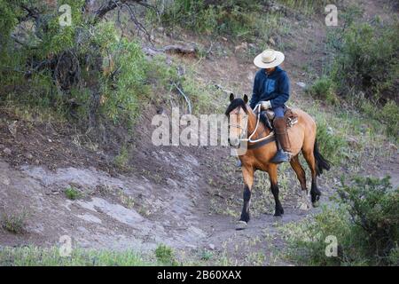 La Parva, Chile - 8. November 2018: Mann zu Pferd auf der Spur des chilenischen Andeas Stockfoto