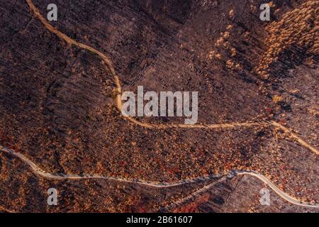 Versengte Wälder aus Monchique. Blick vom Himmel. Zusammenfassung. Stockfoto