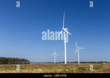 Windenergieanlage, sammeln Sie Energie. Portugal Sagres Stockfoto