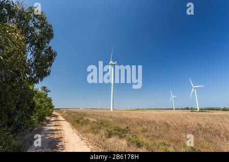 Die Straße in der Nähe des Waldes, ein Windgeneratoren. Portugal. Stockfoto