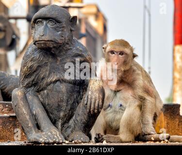 Krabbenfresser Makaque (Macaca fascicularis) in der Nähe einer bronzenen Makakenstatue in San Phrakan, Lopburi, Thailand Stockfoto