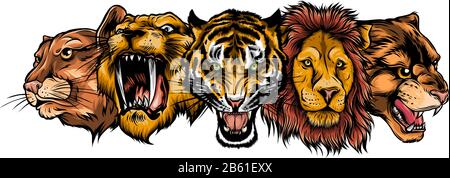 Wildtiere Heads Set. Lion, Tiger, Jaguar, Lynx - Vector Mascot Logo Design Stock Vektor