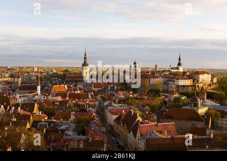 TALLINN ESTLAND Stockfoto