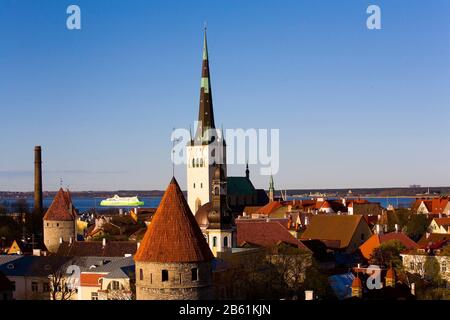 TALLINN ESTLAND Stockfoto