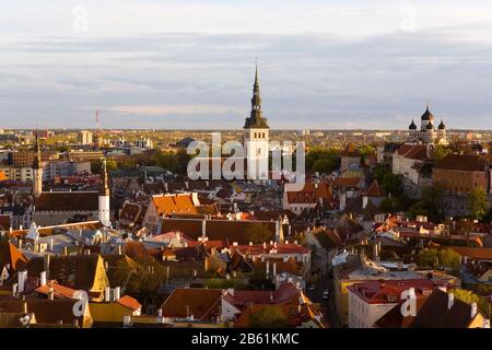 TALLINN ESTLAND Stockfoto