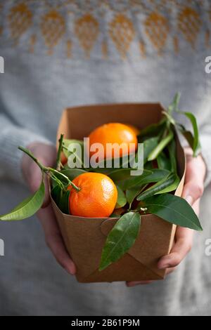 Hände, die einen Karton mit Mandarinen halten Stockfoto