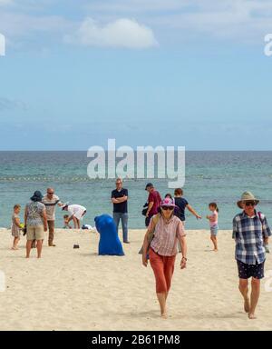 Living Sculpture von KOA Art Collective 1 bei Sculpture by the Sea Exhibition Cottesloe Beach Perth WA Australia Stockfoto