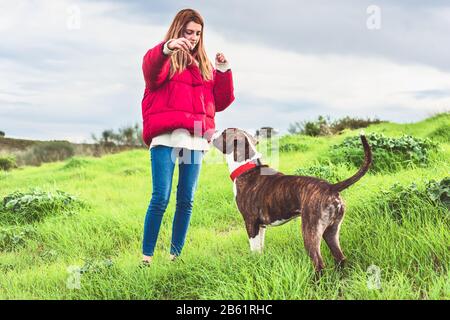 Junge Frau trainiert amerikanischen Staffordshire Terrier auf dem Feld Stockfoto