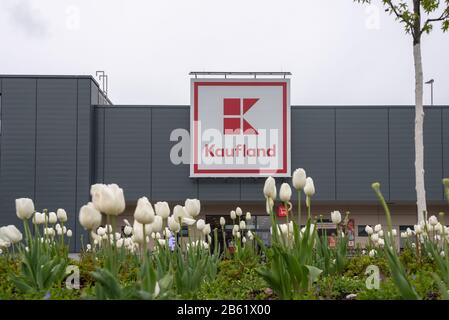 26. April 2019, Sachsen-Anhalt, Schwanenberg: Blick auf weiße Tulpen. Sie blühen am Bahnhof vor dem Kaufland-Supermarkt. Foto: Stephan Schulz / dpa-Zentralbild / ZB Stockfoto