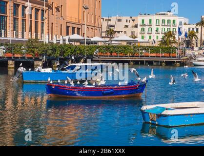 Bari, ITALIEN - 16. FEBRUAR 2020: Möwen auf und über rustikalen Booten im Fischerhafen von Bari, Apulien Stockfoto