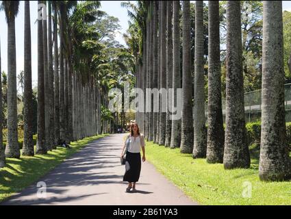 Frau läuft auf Palmen Avenue. Szene im tropischen Park. Stockfoto