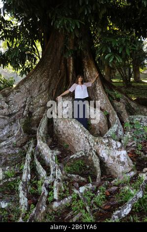 Frau, die mit leichten Schlägen bekleidet ist, ist umgeben von Wurzeln, die von einem riesigen tropischen Baum umgeben sind. Stockfoto