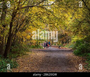 London, England, Großbritannien - 17. November 2019: Familien gehen auf einem Weg durch Herbstbäume auf dem Wimbledon Common in London. Stockfoto