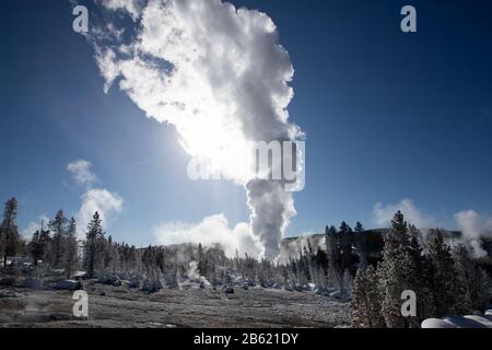 Dampfphase Steamboat Geyser im Yellowstone-Nationalpark Stockfoto