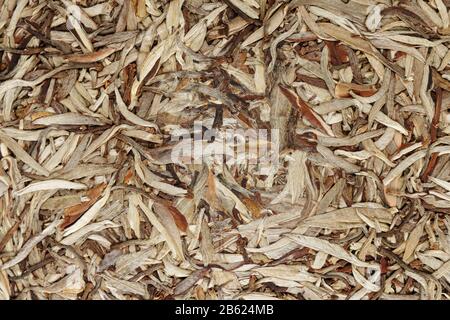 Scheibe aus chinesischem PU erh Tee Nahaufnahme, Hintergrund Stockfoto