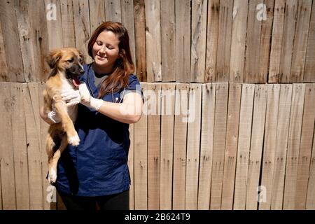 Frau mit Hund im Hundeheim Stockfoto