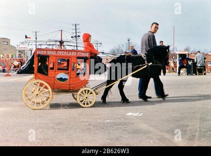 1960 Ft. Worth Stock Show - Kleiner Junge, der auf einem Miniatur-Bühnentrainer bei der Stock-Show reitet Stockfoto