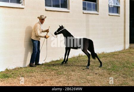 1960 Ft. Worth Stock Show - Trainer mit einem jungen Fohlen auf der Stock-Show in Fort Worth Stockfoto