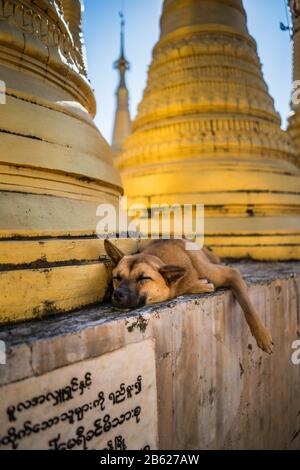 Golden Stupas, Shwe Inn Thein Paya, Inle Lake, Myanmar Stockfoto