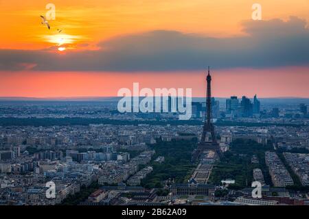 Blick auf Paris und den Eiffelturm von Montparnasse. Blick auf den Eiffelturm mit fliegenden Vögel von Montparnasse bei Sonnenuntergang, Blick auf den Eiffelturm. Stockfoto