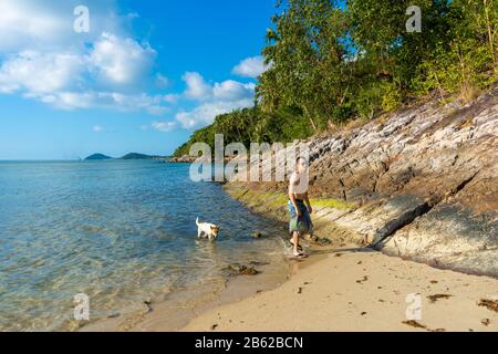 Ein Hund mit einem Kerl spaziert an einem sandigen Strand am Meer entlang. Tropischer Hund am Meer Stockfoto