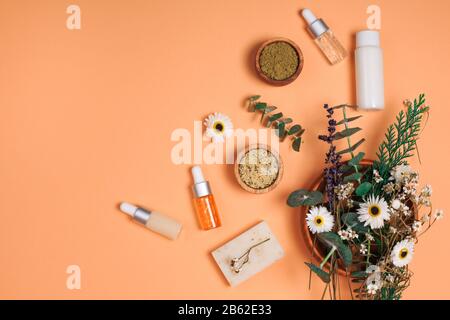 Moderne Apotheke Konzept. Kräuter und ätherische Öle in Stillleben Stockfoto