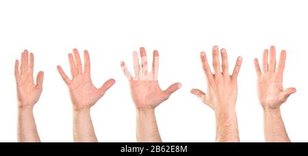 Öffnen Sie die Handfläche, die fünf Finger in verschiedenen Positionen zeigt. Horizontale Zusammensetzung. Stockfoto
